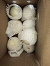 全疆集新疆白洋蔥 皮牙子新鮮蔬菜 生吃涼拌 白洋蔥 5斤 曬單實(shí)拍圖
