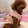 嬉皮狗（hipidog）小狗狗衣服可愛臘腸狗毛巾繡背心小型幼犬比熊約克夏無袖小狗衣服 奧麗粉（可牽引） XL（建議體重11-15斤） 曬單實拍圖