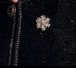 Eternelle法國雪花系列簡約百搭胸針氣質(zhì)外套別針開衫扣高檔胸花 銀色  曬單實拍圖