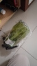 安賽瑞 噴壺澆花水壺噴霧器噴水壺氣壓式灑水噴壺 墨綠 1.5L 5J00421 曬單實(shí)拍圖