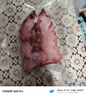 【散養(yǎng)太湖黑豬肉】無抗生素檢測現(xiàn)殺農(nóng)家土豬肉端午送禮年貨團(tuán)購 豬腳 400g*4份 曬單實(shí)拍圖
