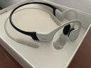 韶音（SHOKZ）OpenSwim Pro S710 骨傳導(dǎo)藍(lán)牙耳機(jī) 開(kāi)放式運(yùn)動(dòng)游泳跑步騎行不入耳 熊貓色 曬單實(shí)拍圖