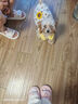 子木雅居小狗狗公主裙子夏季薄款泰迪比熊約克夏馬爾濟斯寵物貓咪衣服背心 立體花朵 M(建議體重5-8斤) 曬單實拍圖
