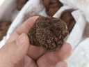 云南野生新鮮黑松露特級禮盒裝 Black Truffle塊菌高端食材蘑菇 黑松露2-3cm250g【茶色】 曬單實(shí)拍圖