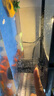 闊庭（KUOTING）魚缸水族箱生態(tài)桌面魚缸新款懶人魚缸生態(tài)造景過濾制氧一體機(jī)黑色 曬單實(shí)拍圖