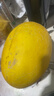 京鮮生 黃金哈密瓜 1粒裝 單果3斤起  生鮮水果  曬單實(shí)拍圖