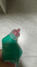 花王（KAO）潔廁靈500ml 免刷潔廁液除菌馬桶清潔劑清洗劑廁所寶去尿漬異味 曬單實(shí)拍圖