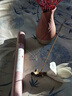侍香人天然玉蘭花線(xiàn)香熏香家用室內持久留香臥室沉香檀香合香蘭花味香薰 冰肌玉蘭（1管裝） 曬單實(shí)拍圖