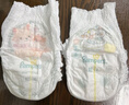 幫寶適【夏天超薄透氣】清新幫透氧Pro嬰兒拉拉褲XL84片 尿片尿不濕 曬單實拍圖