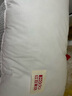 紅豆A類全棉枕頭護(hù)頸枕芯成人深度睡眠酒店枕頭芯48*74cm單邊低枕一只 曬單實(shí)拍圖