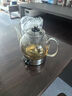 歐美特（OUMETE）煮茶壺煮茶器 噴淋式蒸汽茶壺養(yǎng)生壺 恒溫蒸煮兩用煮茶燒水壺 1.3L OMT-PC1052 曬單實(shí)拍圖