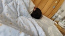 紐強(qiáng)兒童面霜青少年夏季清爽舒緩保濕霜 嬰幼兒保濕潤膚精華露200g 曬單實(shí)拍圖
