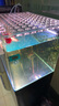 森森（SUNSUN）魚(yú)缸溫度計養魚(yú)液晶水溫計熱帶魚(yú)電子水溫儀器 內置潛水溫度計 曬單實(shí)拍圖