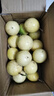 久雅優(yōu)鮮黃金百香果欽蜜9號(hào)新鮮水果黃色白香西番蓮雞蛋果原漿現(xiàn)摘整箱 凈重2-1.8斤裝 【單果30-55g】 曬單實(shí)拍圖