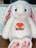 Jellycat花布邦尼兔動(dòng)物毛絨玩偶兔子玩偶兒童禮物送禮娃娃生日新婚禮物 白芮（乳白色） Medium 曬單實(shí)拍圖