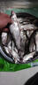 紅蟲(chóng)蚯蚓原漿液釣魚(yú)小藥誘魚(yú)野釣黑坑鯽鯉青草鰱鳙餌料窩料添加 【御】蚯蚓紅蟲(chóng)液 曬單實(shí)拍圖