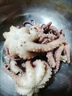 大長(cháng)腿八爪魚(yú)鮮活速網(wǎng)紅爆頭凍商用活的冷凍特大海鮮水產(chǎn) 長(cháng)腿八爪魚(yú)小號20只左右【2斤裝】 曬單實(shí)拍圖