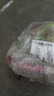 推車式干粉滅火器20kg35公斤50KGkg加油站泡沫水基手推式工廠專用大滅火器 【35KG干粉】推車式滅火器 曬單實(shí)拍圖