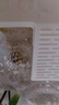 BARBAROUS GROWTH天然蟹沙寄居蟹專用沙砂菲律賓珊瑚沙貝殼砂魚缸造景底沙白海細沙 1袋裝（約500g） 曬單實拍圖