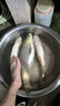 本諾歐式釣椅2025新款野釣專用全地形釣魚椅凳子戶外新型折疊便攜座椅 基礎【休閑套裝+鋁鎂3件套】 曬單實拍圖