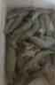 蝦有蝦途青島大蝦 超大號(hào)青蝦鮮蝦海蝦基圍蝦鮮冷凍生鮮水凍特大15-17cm 15-17厘米整箱 3斤(凈重)  【近期新貨】 曬單實(shí)拍圖