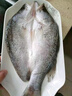 優(yōu)牧冠 三去開背海鱸魚/河鱸魚隨機 去內(nèi)臟 鮮活冷凍約400-450g 曬單實拍圖