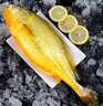 冰鮮部族大黃花魚(yú) 深海大黃魚(yú)海捕活凍鮮活大海魚(yú)鮮海鮮水產(chǎn) 【深海大黃花魚(yú)250g*4條】2斤裝 曬單實(shí)拍圖