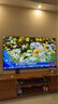 索尼（SONY）K-75XR51Z  索尼電視5系 75英寸 XR50系列 64G版 2025新品 MiniLED XR芯片 一級能效 國家補貼 曬單實(shí)拍圖