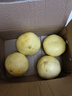 琪江果福建黃金葡萄柚 當季西柚黃肉小柚子新鮮水果整箱 黃金葡萄柚4.5-5斤4-6個(gè) 曬單實(shí)拍圖
