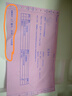 SEPTREE心馳食品烘干機(jī)寵物零食家用多功能小型干果機(jī)廚房食物風(fēng)干機(jī)器水果烤干機(jī) 8層款+8張不粘墊 (僅烘干不能烤熟) 曬單實(shí)拍圖