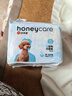 HONEYCARE好命家 狗狗紙尿褲公狗尿不濕尿片安全褲 M適用體重6-10kg/12片裝 曬單實拍圖