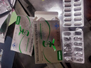 賽樂(lè )賽奧利司賽樂(lè )賽香格兒膠囊他減脂瘦身瘦肚子燃脂全身快速瘦脂肪減肥 2盒【效果加強】國家認證藍帽膠囊大肚子減脂期神器 左旋肉堿藥房同綬正品快速排油挑戰提高代謝大肚子 曬單實(shí)拍圖