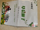 一播大地鳳仙花種子 學(xué)生實(shí)驗套餐野花組合太陽(yáng)花百日草虞美人魯冰花花卉 單瓣太陽(yáng)花大約2克 曬單實(shí)拍圖