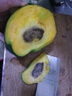 久雅優(yōu)鮮攀枝花凱特芒果 9斤四川特大青芒果新鮮熱帶水果當(dāng)季現(xiàn)摘 凈重4.5-5斤（單果8兩起） 曬單實(shí)拍圖