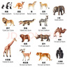 彌鹿（MiDeer）動物模型兒童仿真玩具寶寶禮物水陸野生動物園動物大套裝-15pcs 曬單實拍圖