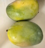 京鮮生 樹上熟 即食凱特芒果 3斤嘗鮮裝 2顆 生鮮水果 曬單實拍圖