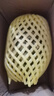 國(guó)產(chǎn)黑鉆鳳梨云南牛奶鳳梨新鮮水果手撕鳳梨非菠蘿 1粒裝 單果500-650g 曬單實(shí)拍圖