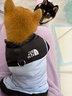 嬉皮狗（hipidog）秋冬季狗狗休閑風(fēng)時(shí)尚拼接兩腳棉衣泰迪貓咪加厚可牽引寵物狗衣服 奧麗粉（可牽引） XL（建議體重11-15斤） 曬單實(shí)拍圖