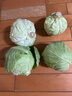 包菜新鮮卷心菜大頭菜農(nóng)戶自種當季綠葉蔬菜綠甘藍 綠甘藍 5斤 曬單實拍圖