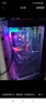 和諧號(hào)電競游戲臺(tái)式電腦主機(jī)（14代酷睿i5-14400F/RTX3050 6G/32G/1T）商用辦公臺(tái)式機(jī)整機(jī) 曬單實(shí)拍圖