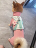 拉夫威爾思韋伯涼涼狗狗胸背帶ruffwear夏季牽引繩狗小型犬背帶式狗繩 霧森綠 S 適用胸圍 56-69cm 曬單實(shí)拍圖