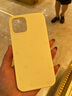 巴蒂尼 韓系ins液態(tài)硅膠蝴蝶結適用蘋(píng)果17promax手機殼iphone16新款15pro女款14網(wǎng)紅13純色簡(jiǎn)約12小眾 奶黃色 iPhone 12 曬單實(shí)拍圖