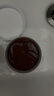 香蒲麗紅公主人參果眼膜貼60片淡化細(xì)紋抗皺緊致補(bǔ)水舒緩修護(hù)女 曬單實(shí)拍圖