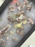 臘排骨湖南正宗農(nóng)家柴火煙熏排骨臘味精選前排中排無大骨臘排骨 煙熏臘排骨【前排】2斤 曬單實(shí)拍圖