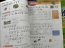 【新華書店正版】2025秋季新版 實驗班提優(yōu)訓(xùn)練 一1二2三3四五六6年級上冊下冊語文數(shù)學(xué)英語人教版北師版蘇教版譯林版青島版小學(xué)教材同步訓(xùn)練配套練習(xí)冊 一年級上冊 【2025新版】語文+數(shù)學(xué) 2本(人 曬單實拍圖