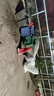 夏季蒙古包蚊帳家用臥室免安裝兒童防摔防塵可折疊紋帳 牛油果綠【防蚊防摔免安裝大空間雙開門】 適用于1.5m床【一丟即開·無需安裝】 曬單實拍圖