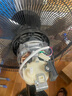 適用先鋒電風(fēng)扇原裝電機馬達機械純銅鋁殼YSZ-6065DS40AWAFS40系 40系配件 曬單實(shí)拍圖