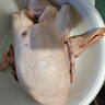 崠鮮散養(yǎng)老鴨子殺后6-7斤 新鮮冷凍鴨肉生鮮土鴨整只源頭直發(fā) 曬單實(shí)拍圖
