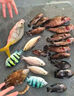 海釣餌料烏頭泥猛黃腳立海魚專用餌料海釣魚餌打窩料海釣面餌野釣 一袋【爆護(hù)必買】 曬單實(shí)拍圖