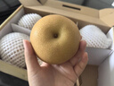 京鮮生山東煙臺(tái)萊陽(yáng)秋月梨凈重8.5斤 單果300g+ 生鮮水果 源頭直發(fā)包郵 曬單實(shí)拍圖